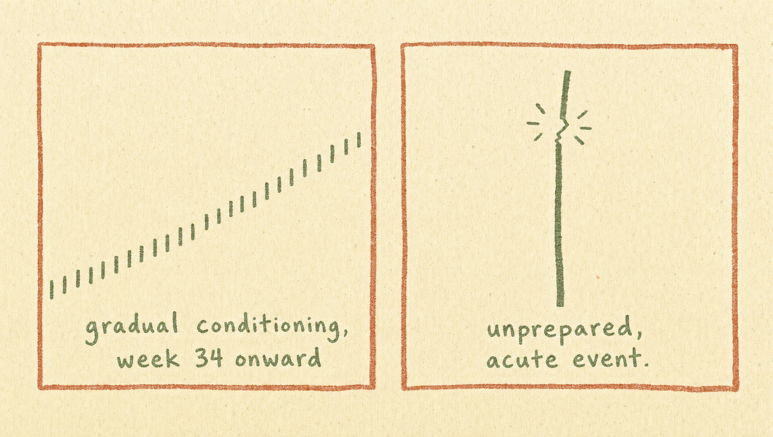 Risograph diagram showing gradual conditioning from week 34 versus an unprepared acute event